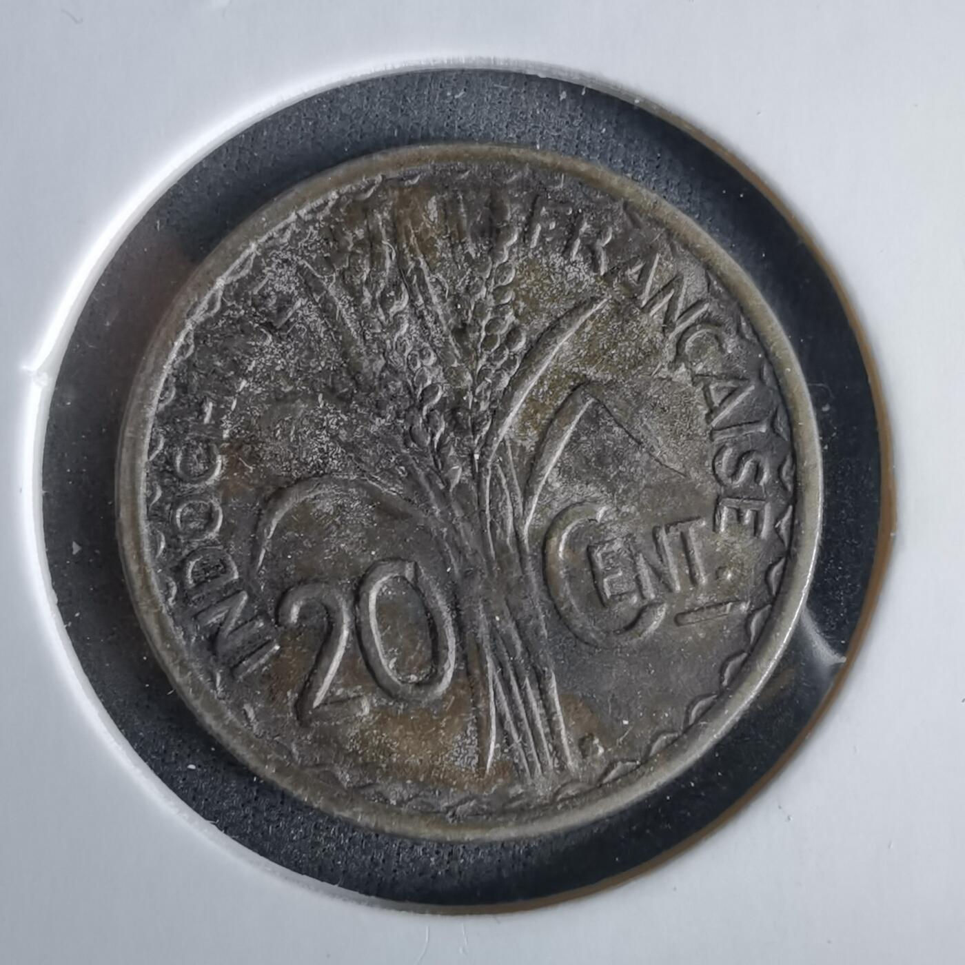 沼泽如烟--第960场