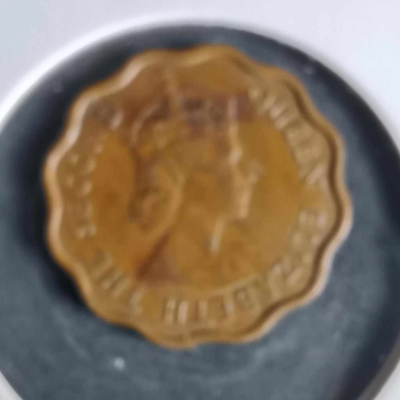 沼泽如烟--第960场