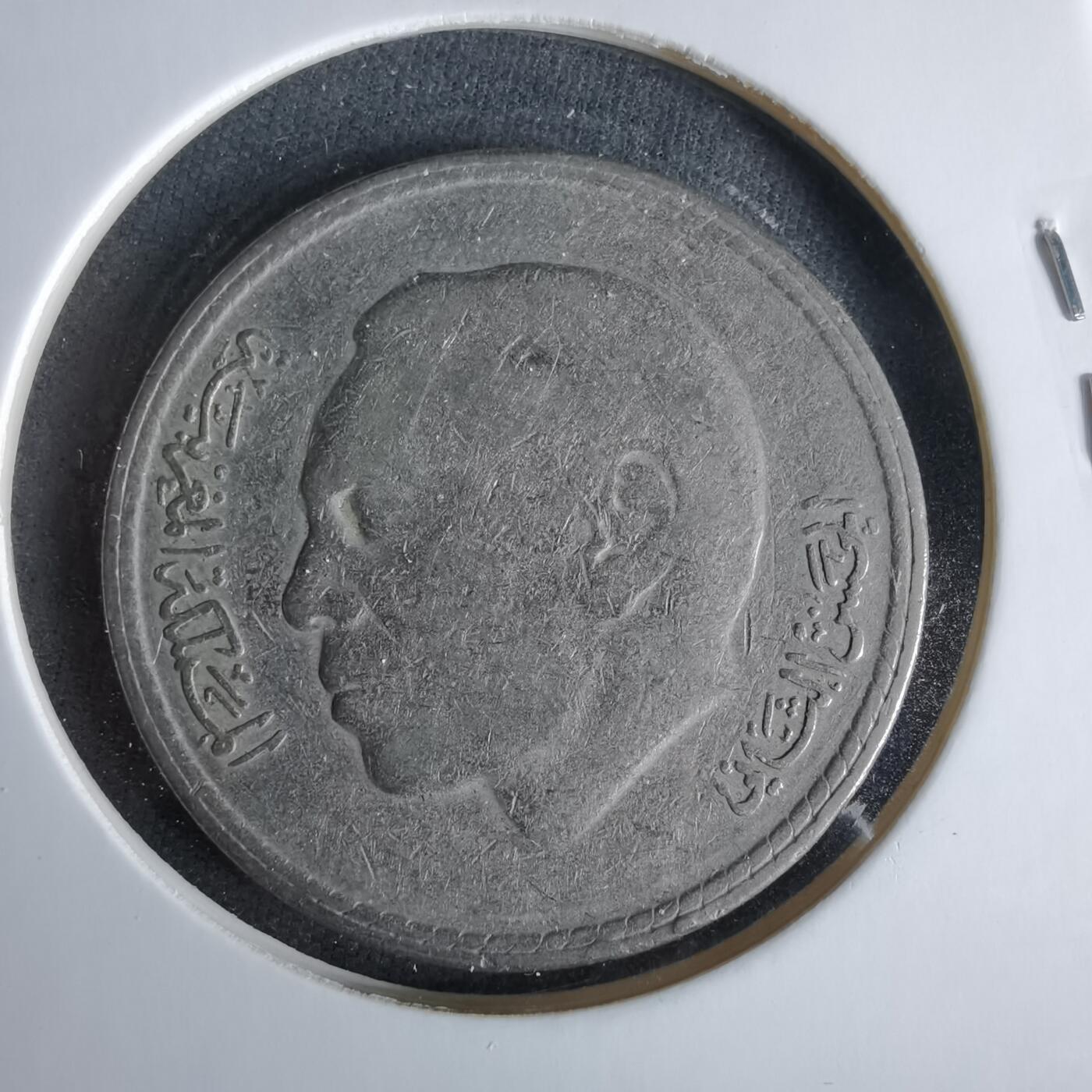 沼泽如烟--第960场