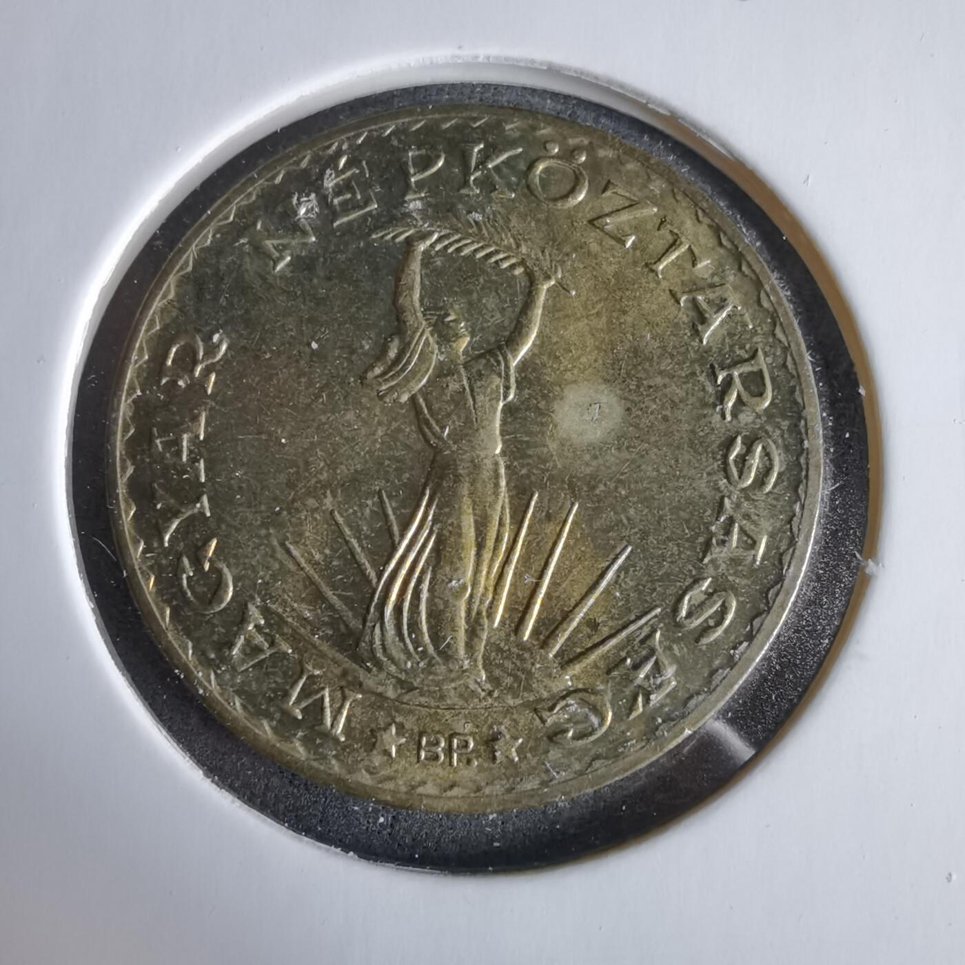 沼泽如烟--第960场