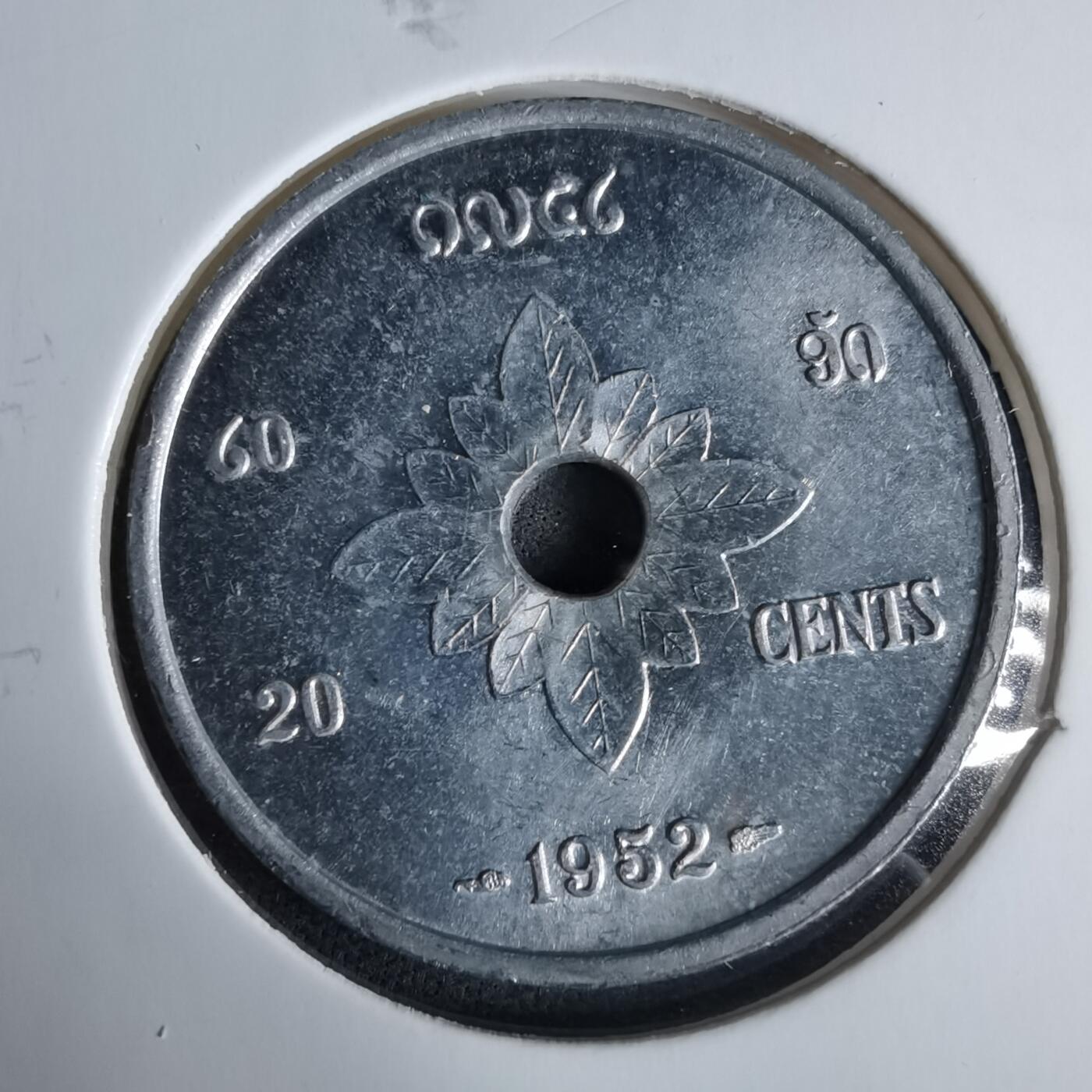 沼泽如烟--第960场