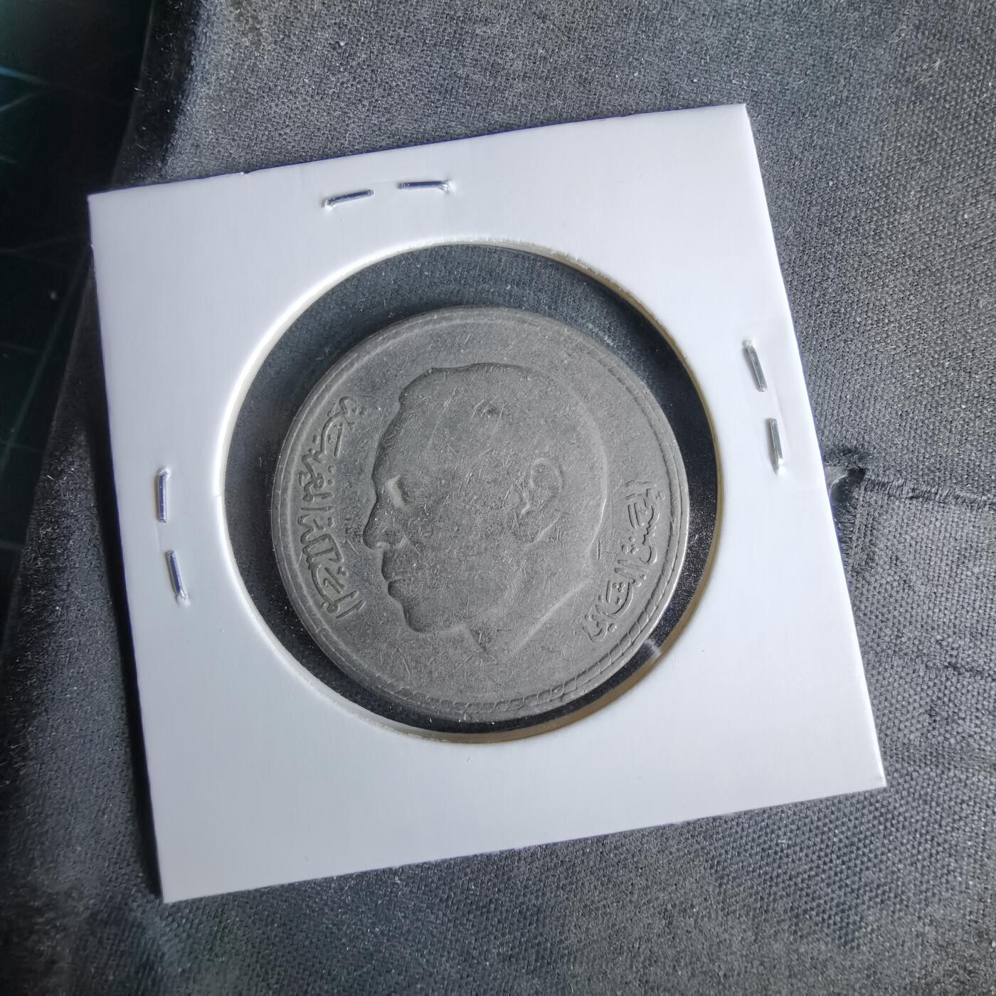 沼泽如烟--第960场