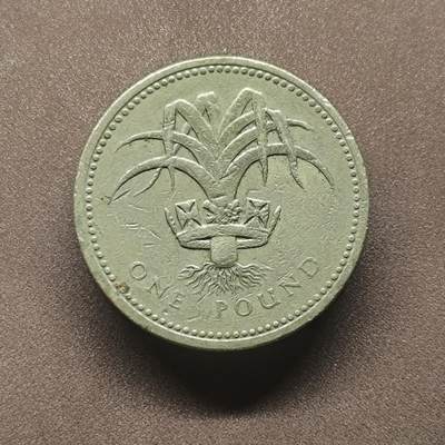 【日月同辉 第2场】世界钱币 银币 - 1985年英国1英镑