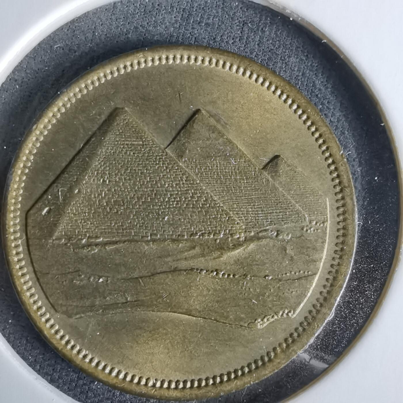 沼泽如烟--第960场