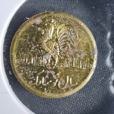 沼泽如烟--第960场 - 伊朗代币