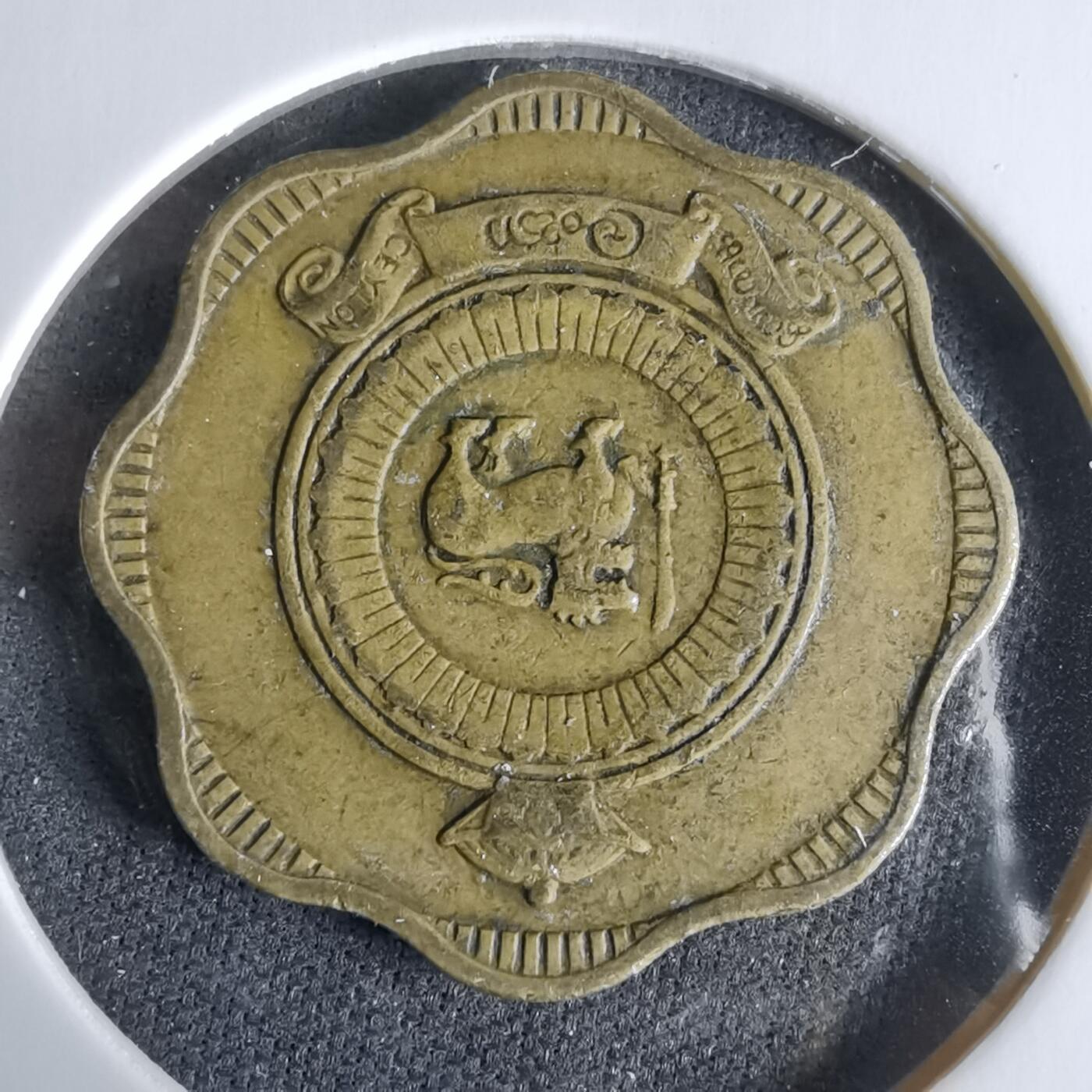 沼泽如烟--第960场