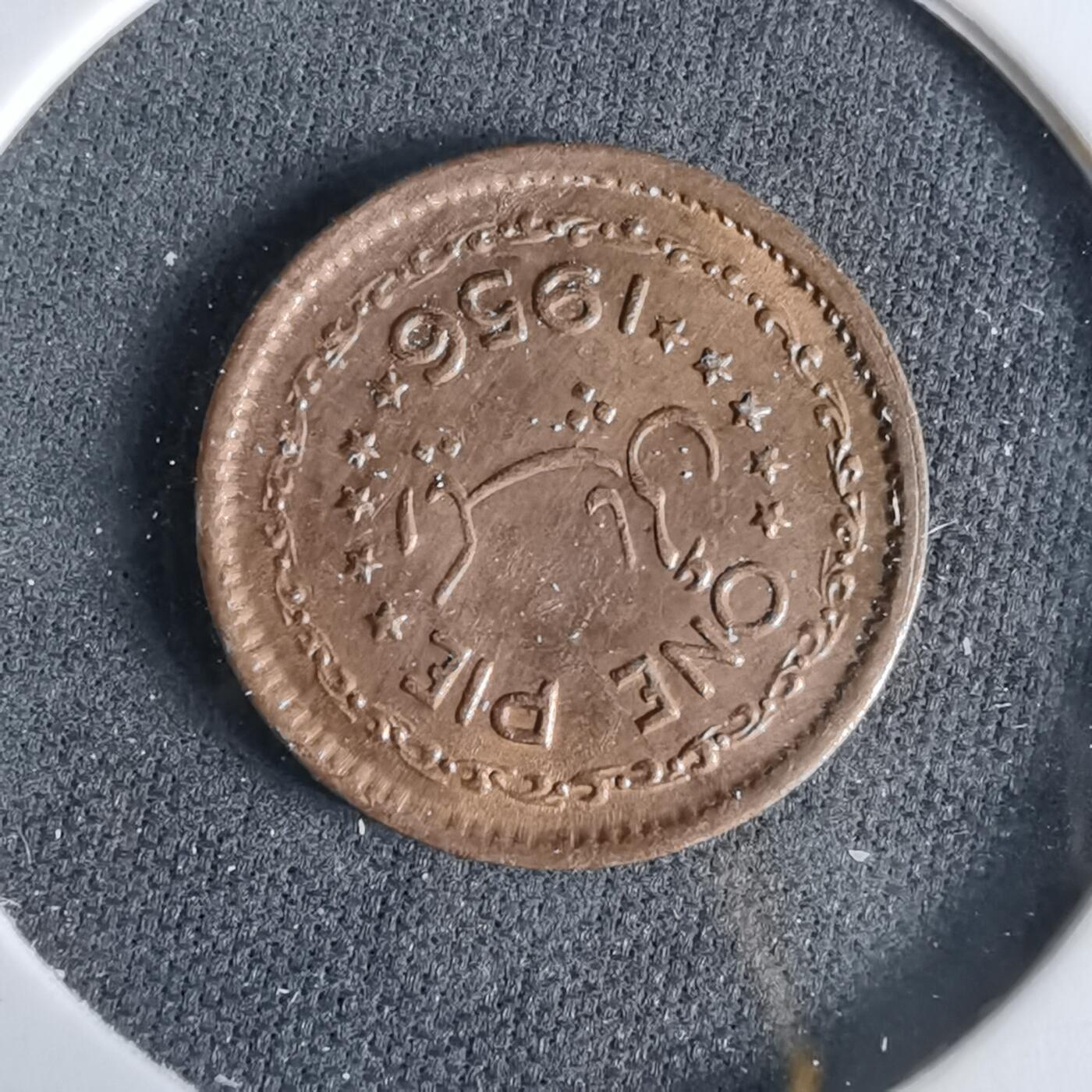 沼泽如烟--第960场