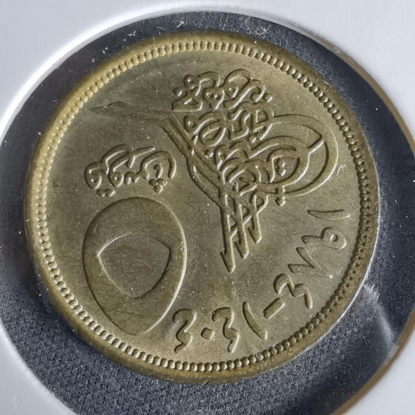 沼泽如烟--第960场