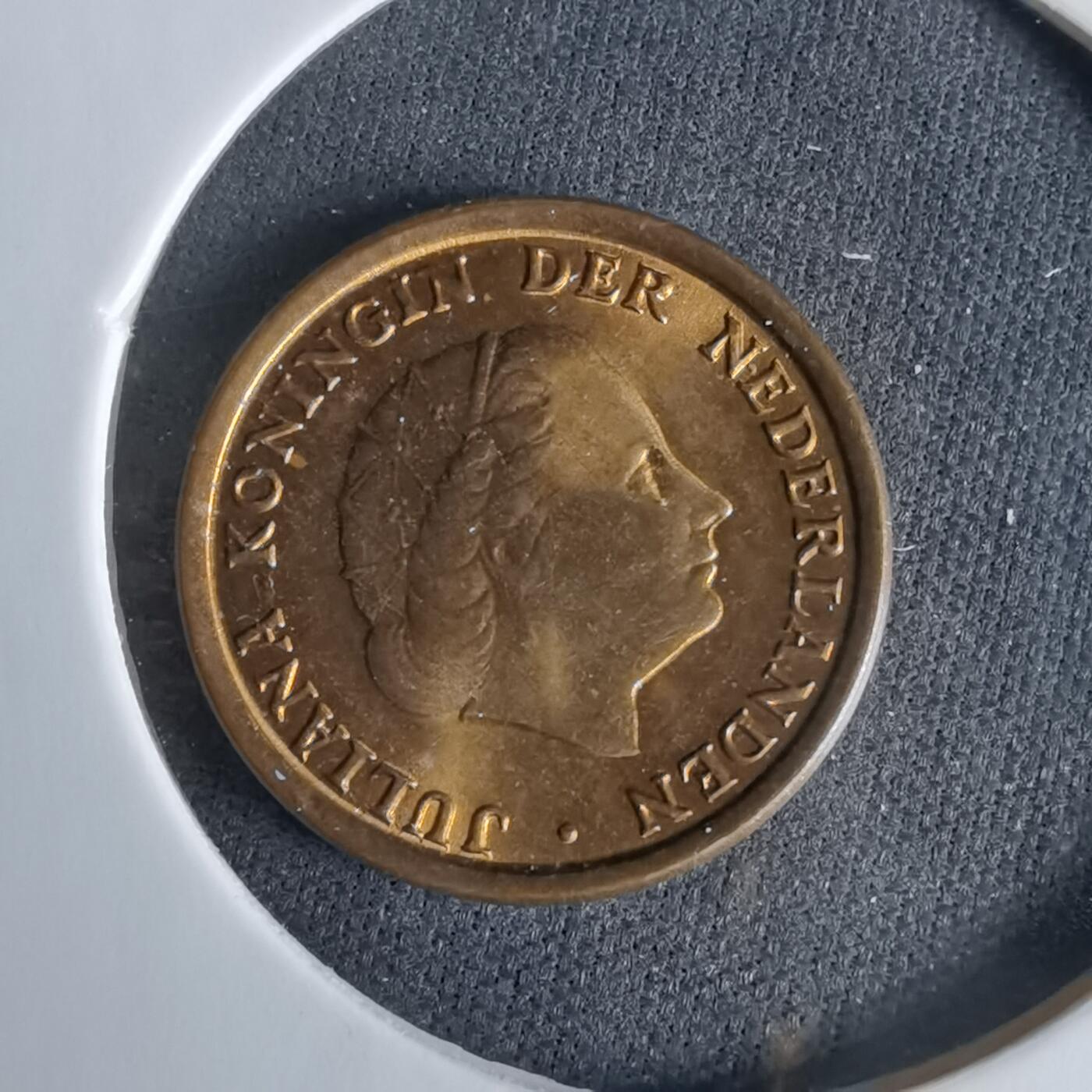 沼泽如烟--第960场