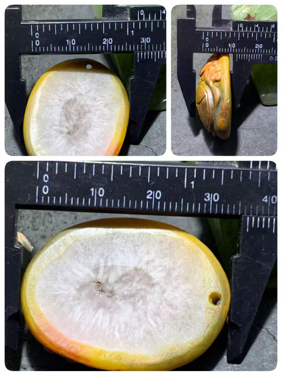 精美亚光冰飘战国红玛瑙手工俏色巧雕龙鱼钱币吊坠一个，