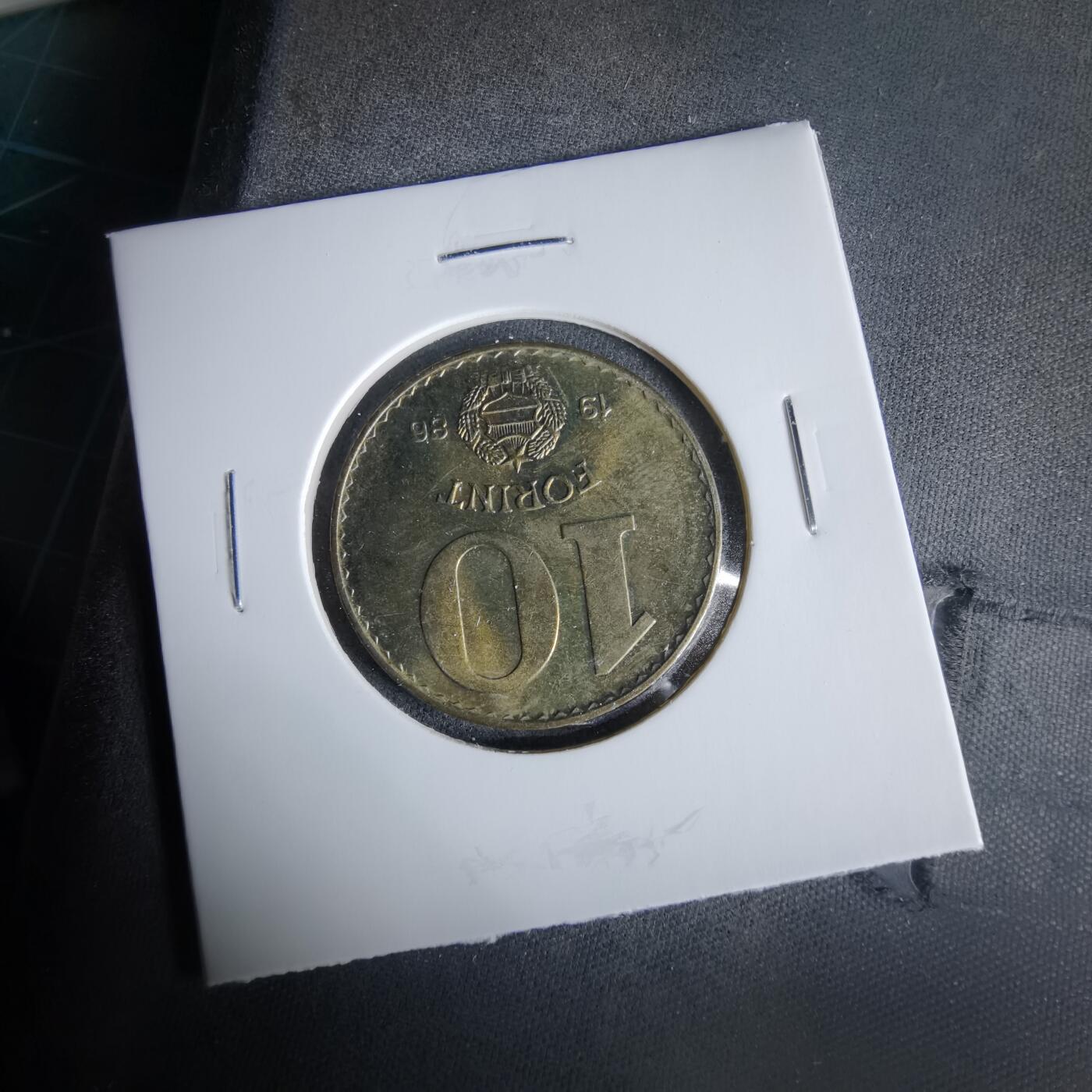 沼泽如烟--第960场