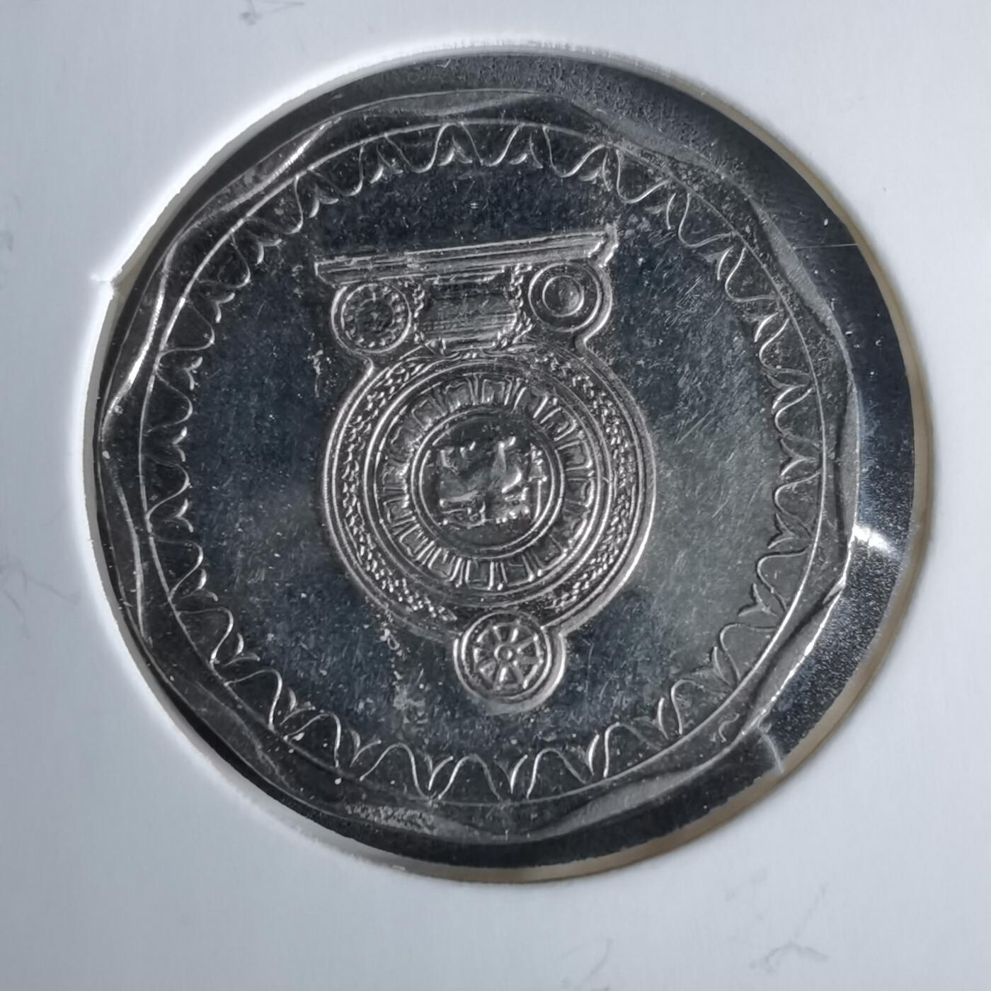 沼泽如烟--第960场