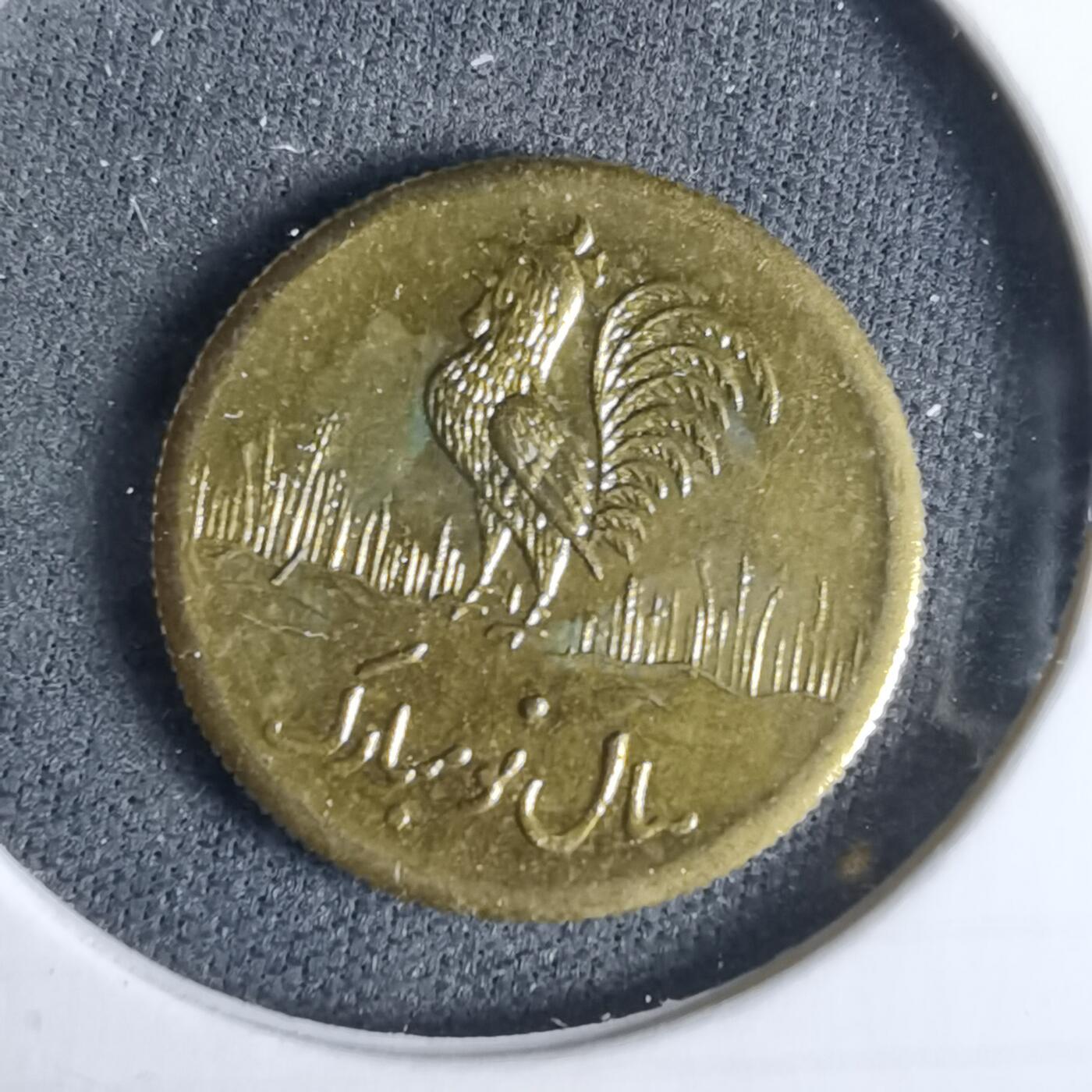 沼泽如烟--第960场