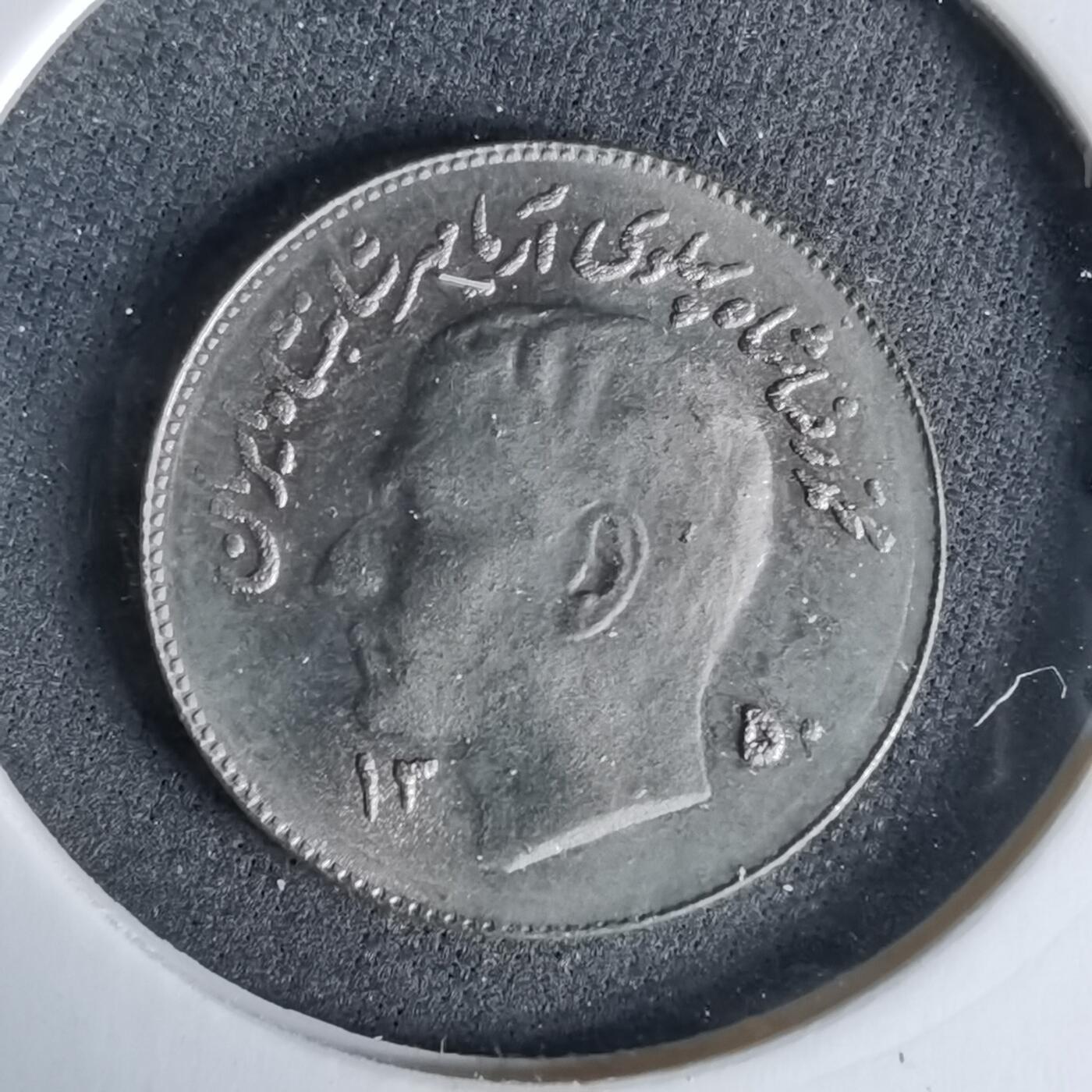 沼泽如烟--第960场