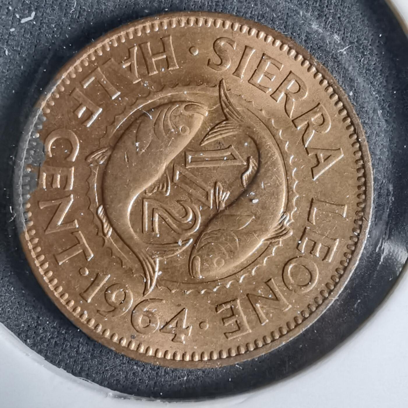 沼泽如烟--第960场