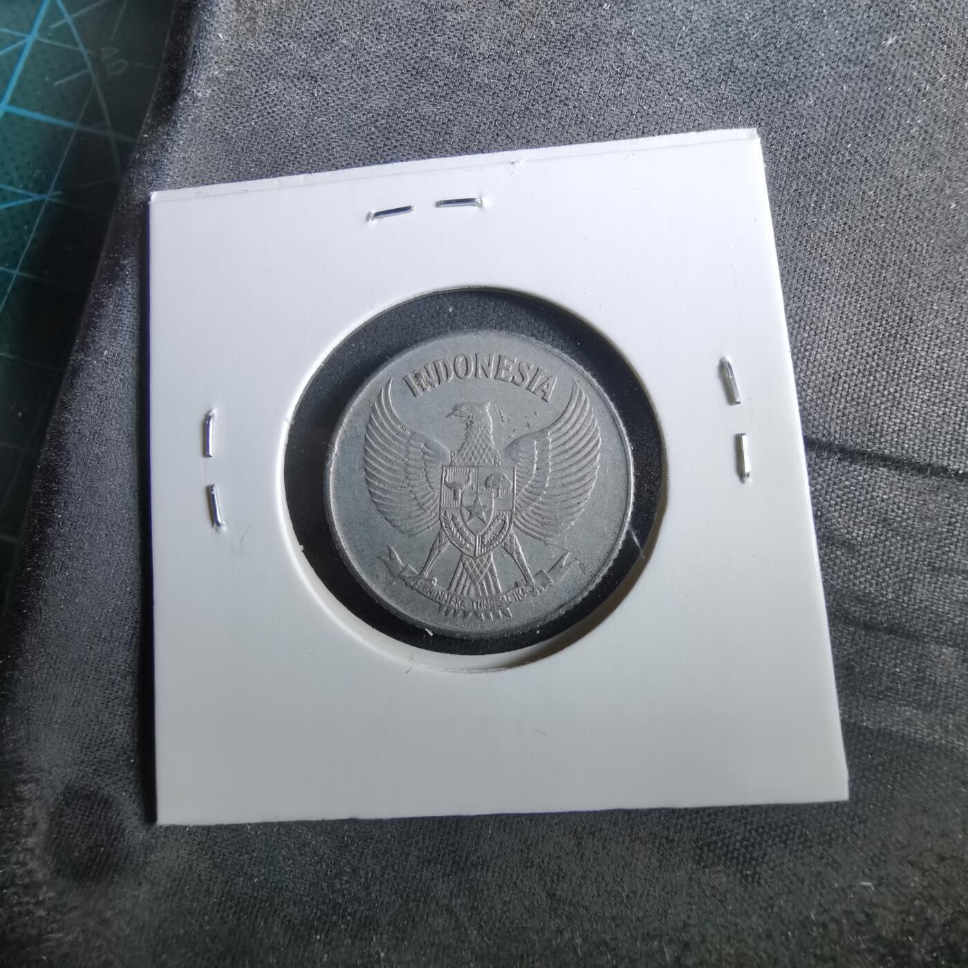 沼泽如烟--第960场