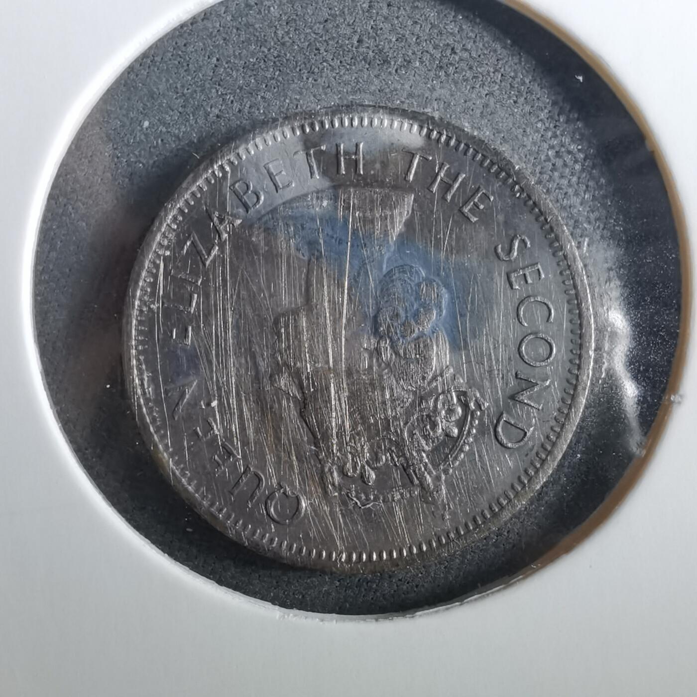 沼泽如烟--第960场