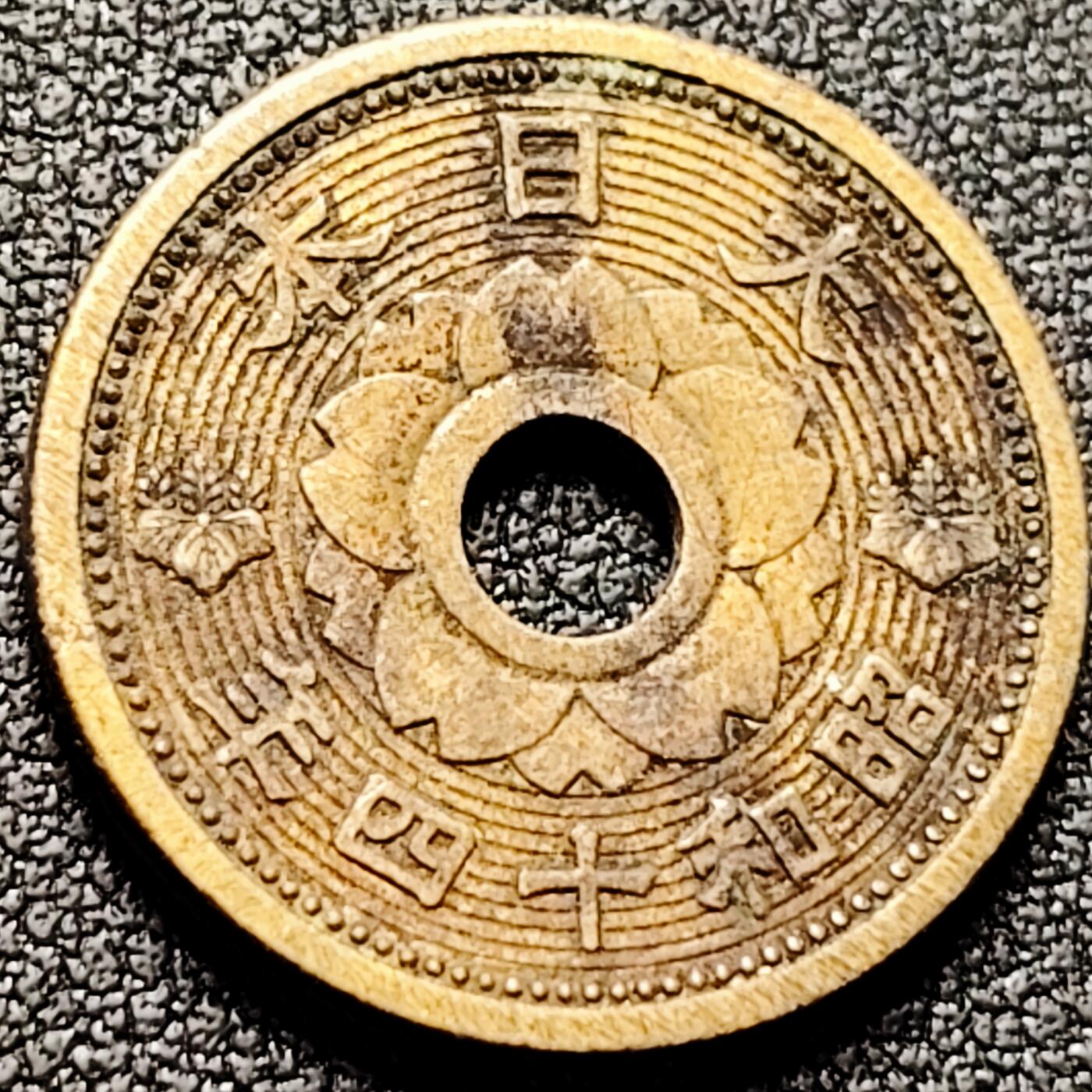 泉币菌-第169场- 精品福利场 。