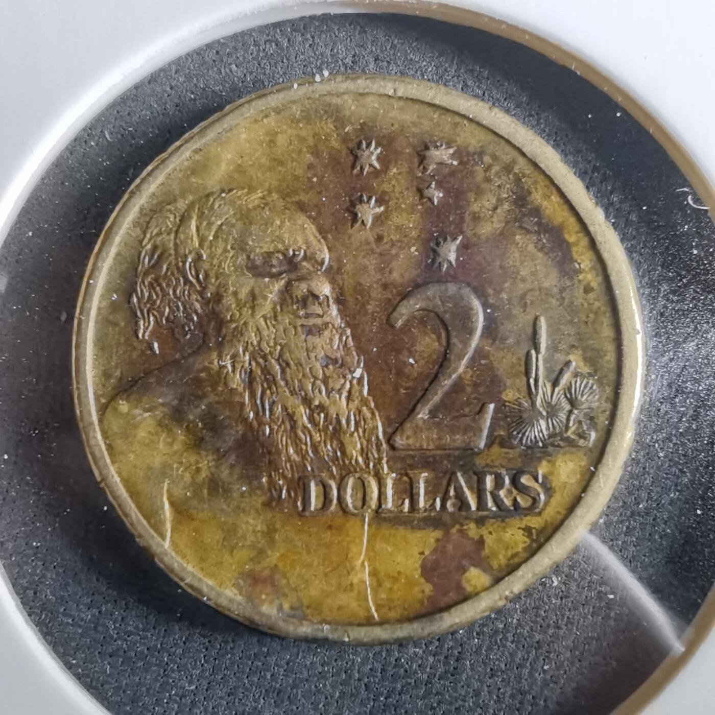 沼泽如烟--第960场