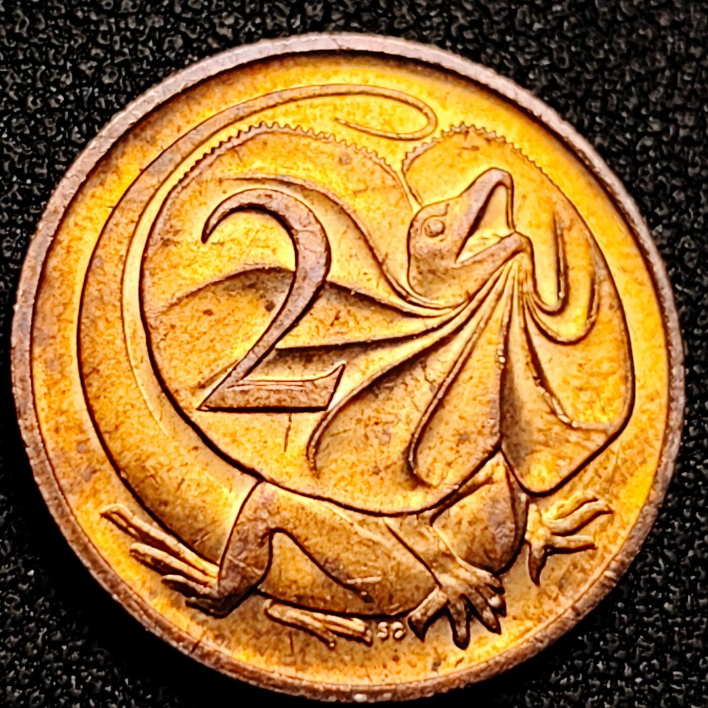 泉币菌-第168场- 精品福利场 。