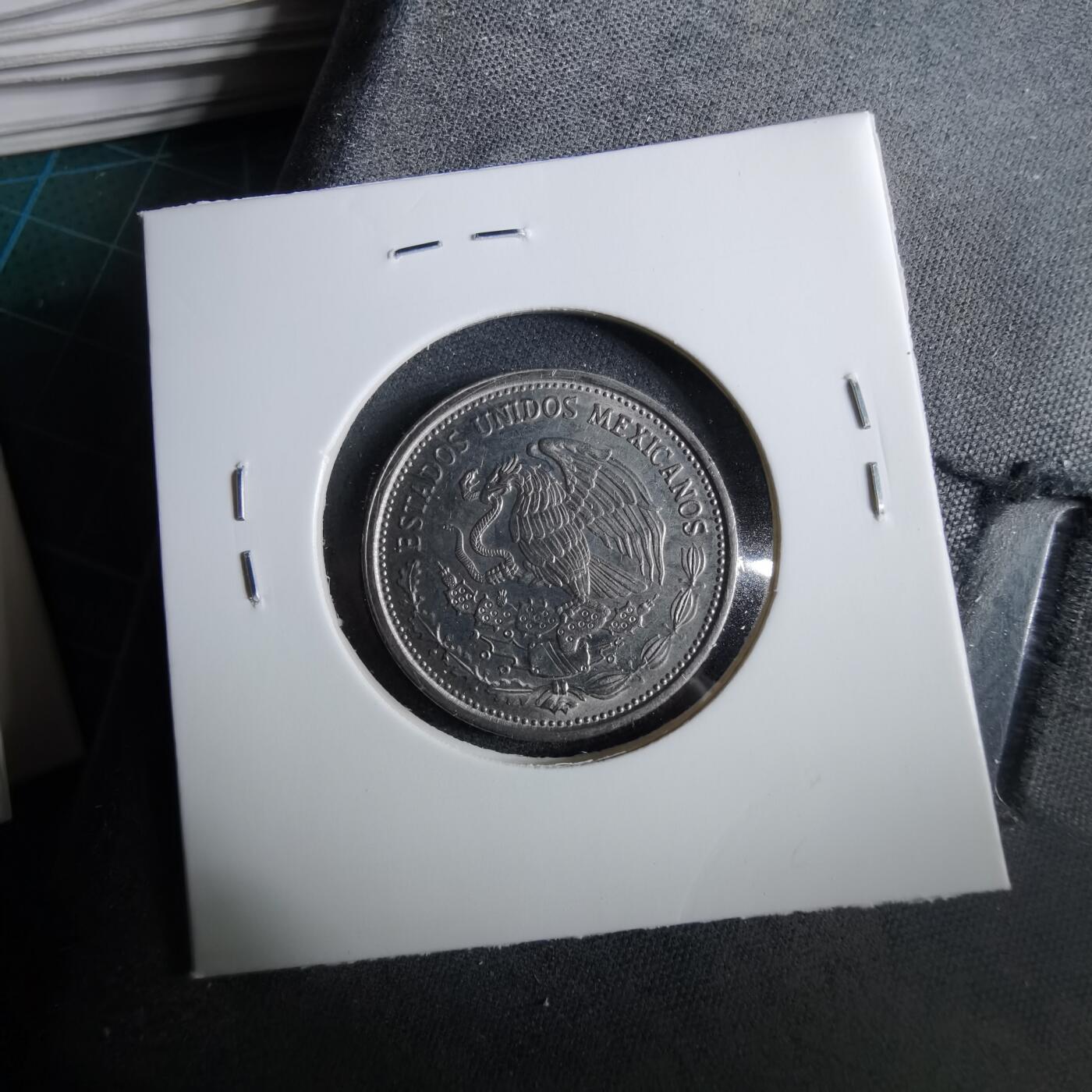 沼泽如烟--第960场