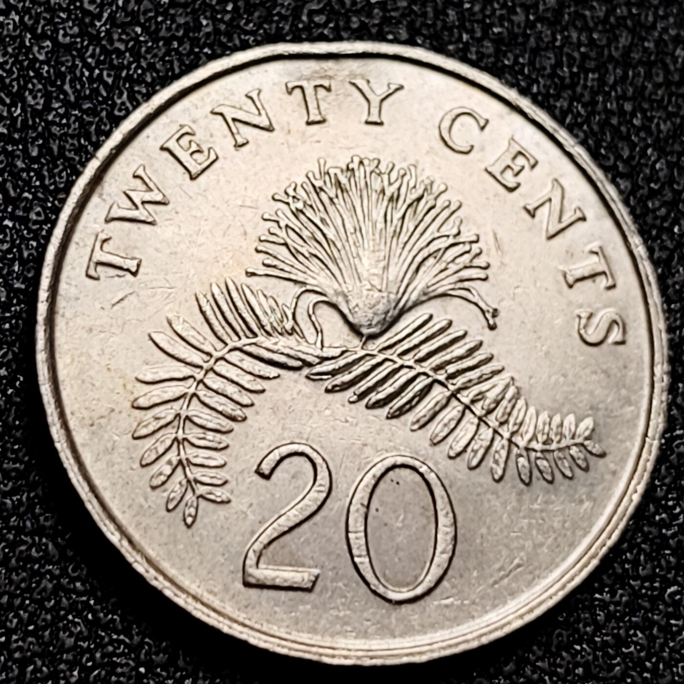 泉币菌-第168场- 精品福利场 。