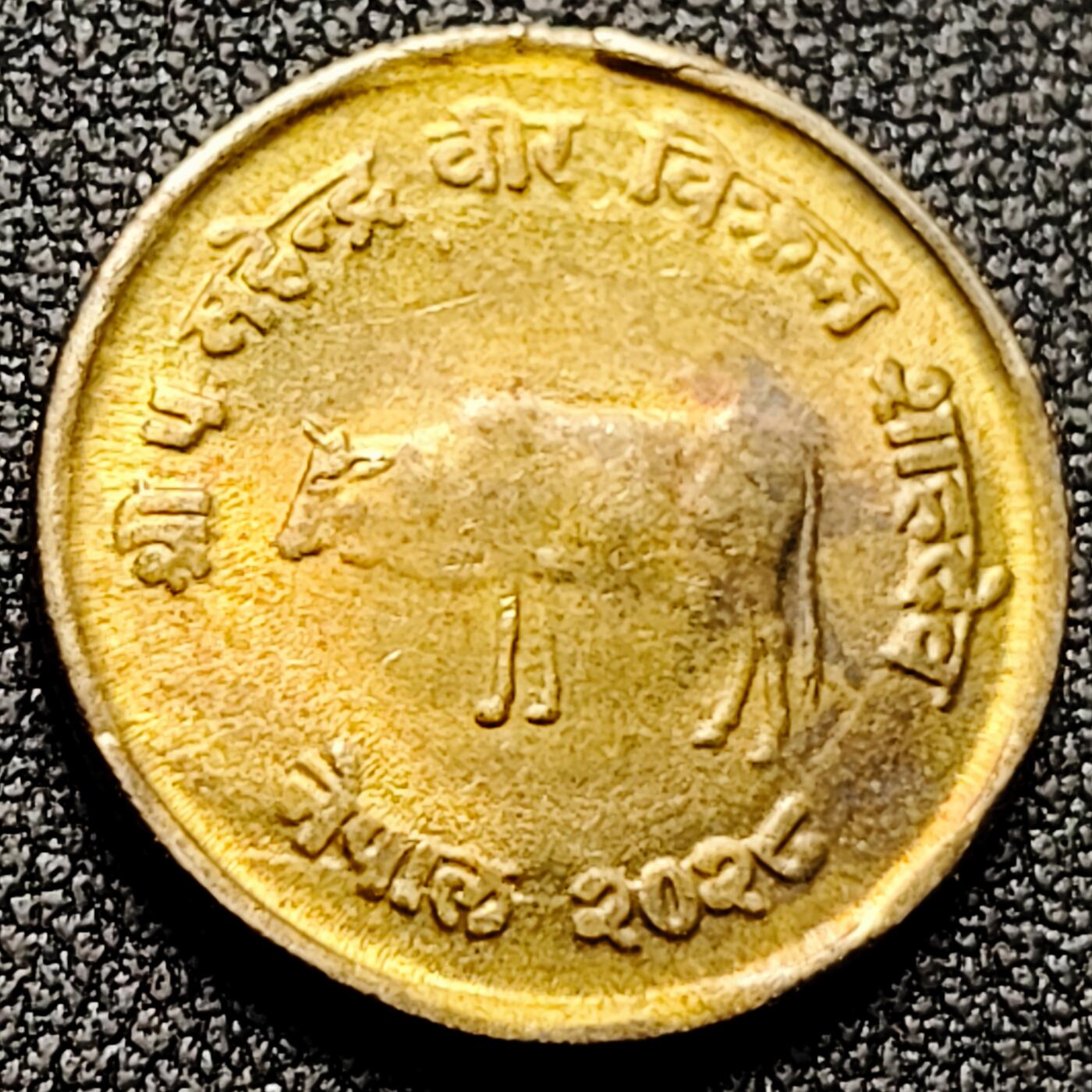 泉币菌-第169场- 精品福利场 。