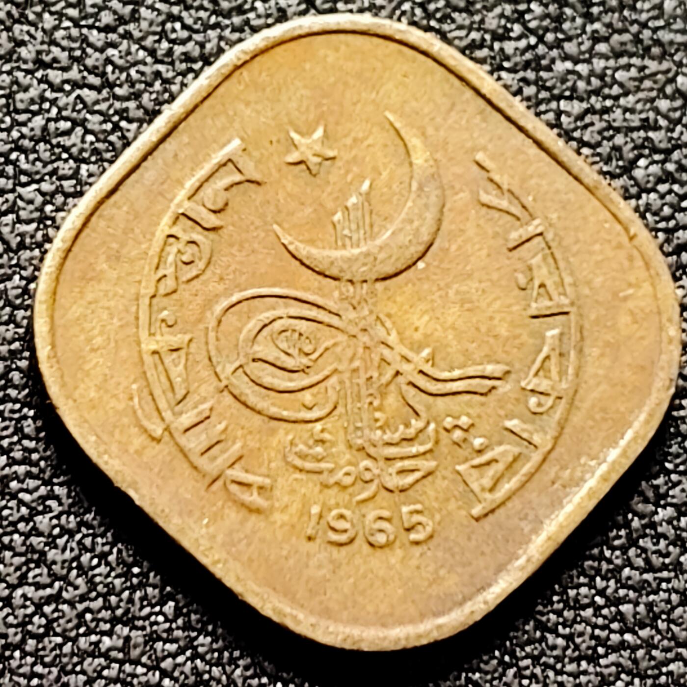 泉币菌-第169场- 精品福利场 。