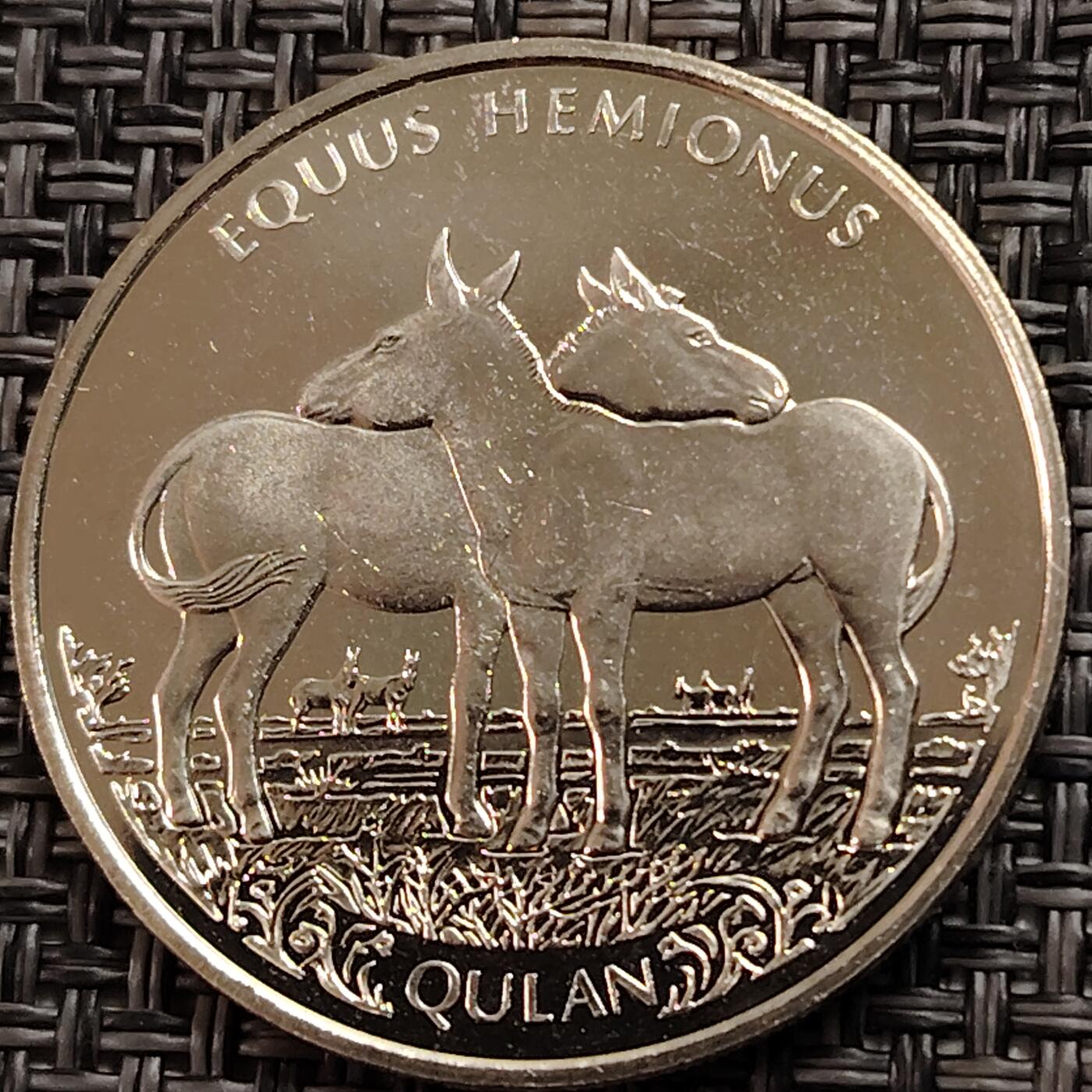 布加迪🐬～世界钱币(上海)🌾第 269 期 /  各国套币和散币 哈萨克斯坦🇰🇿 2021年 100坚戈铜镍币 蒙古野驴 31mm 全新UNC类精制币～L