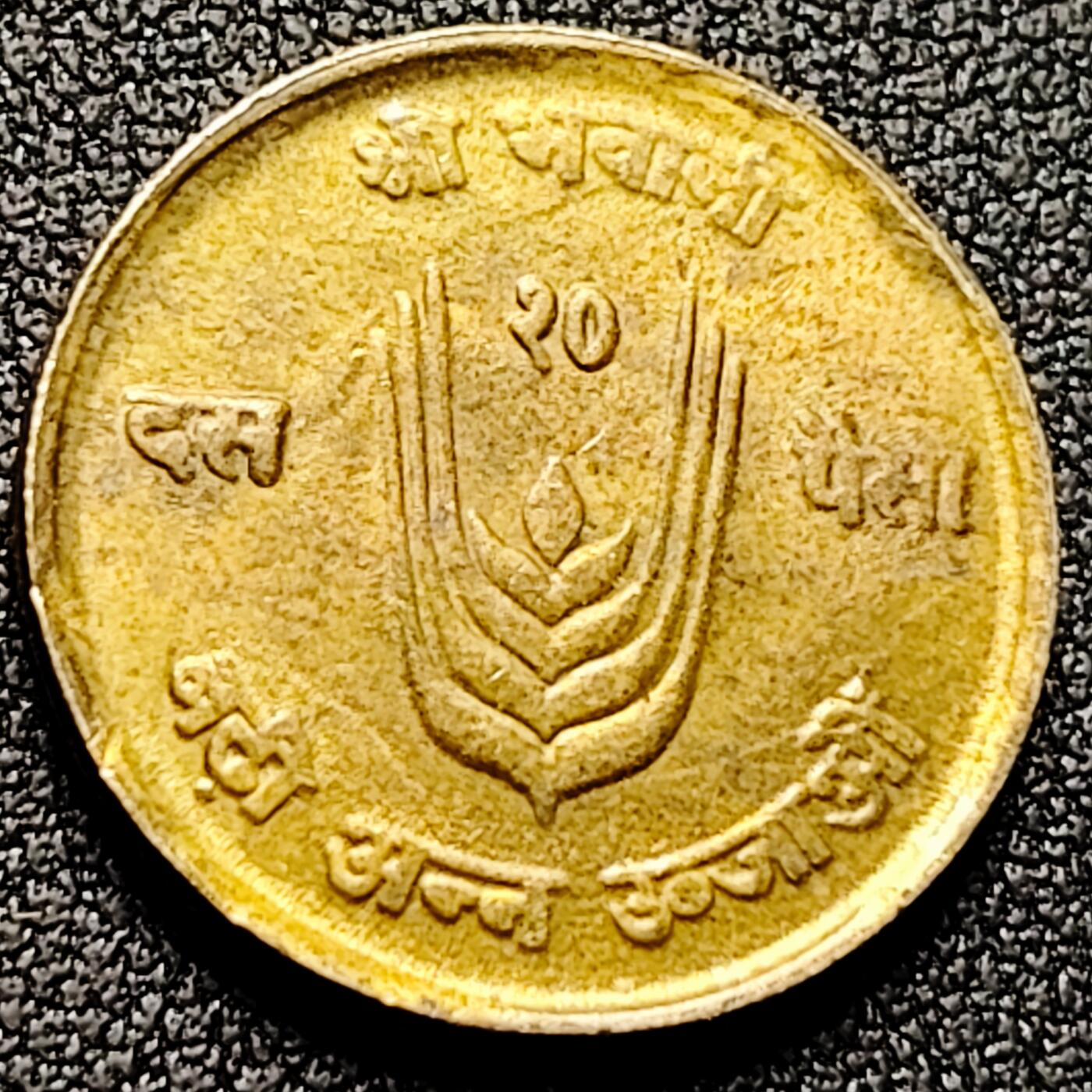 泉币菌-第169场- 精品福利场 。