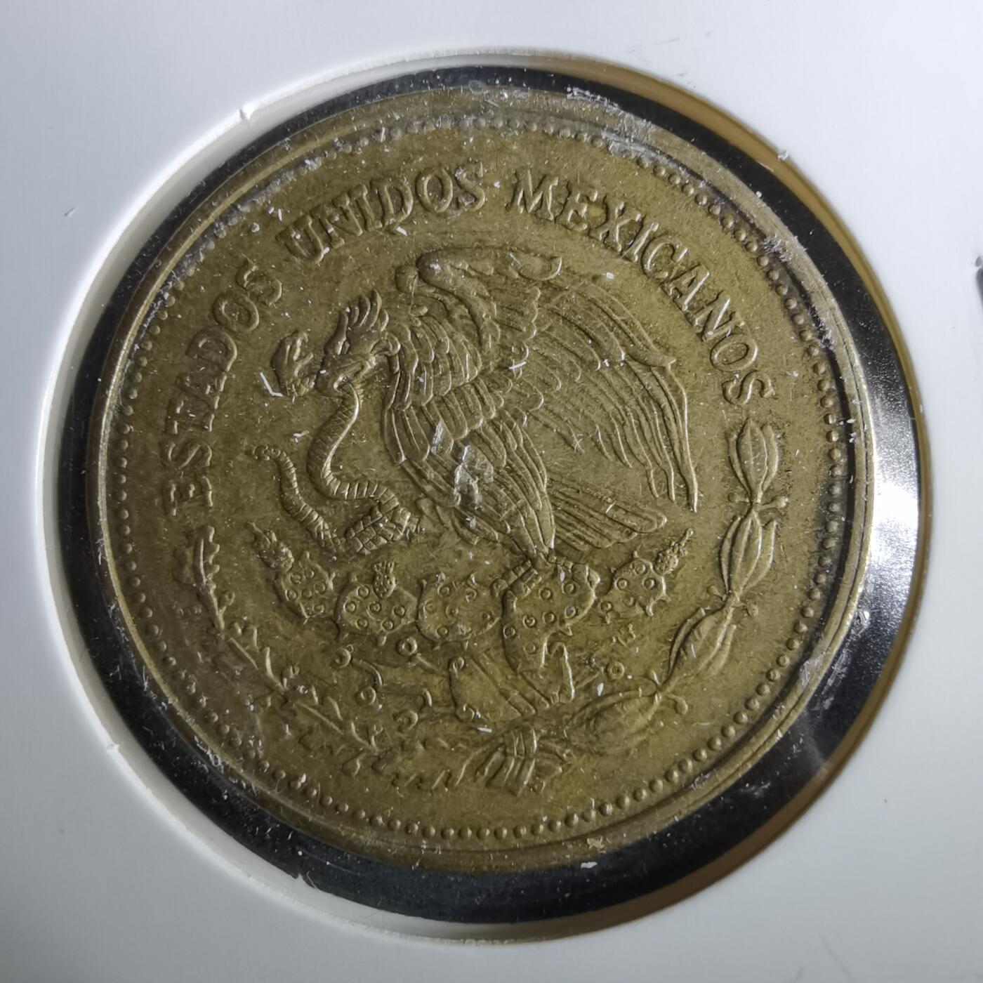 沼泽如烟--第960场