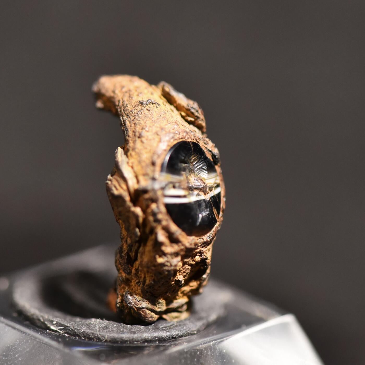 【良泉】【春节前最后一场】2月5日晚19.30点开拍！208组，本场结束后预存钱币的朋友请告知，将连同本场拍品一起邮寄，预祝诸位春节愉快！ 公元1–2世纪【古罗马】缠丝玛瑙材质“青年头像”宝石微雕戒面，原本铁质戒托部分残存