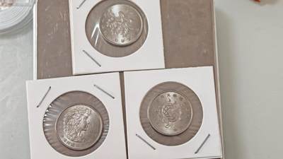 杂币场 - 植树节纪念币一套