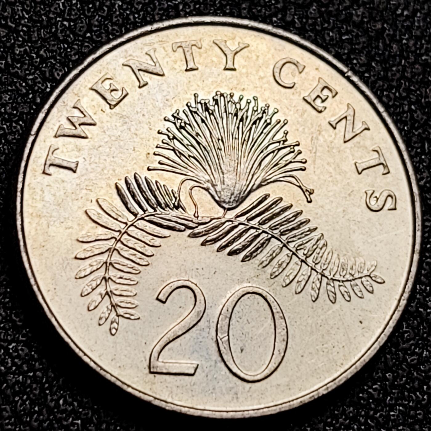 泉币菌-第168场- 精品福利场 。