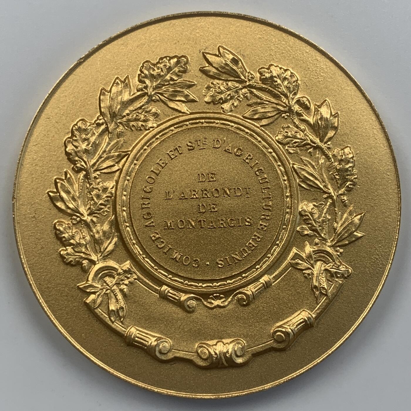 掌中浮雕-藏着的欧洲第049场 法国巴黎蒙塔基农业展览会镀金铜章，50mm