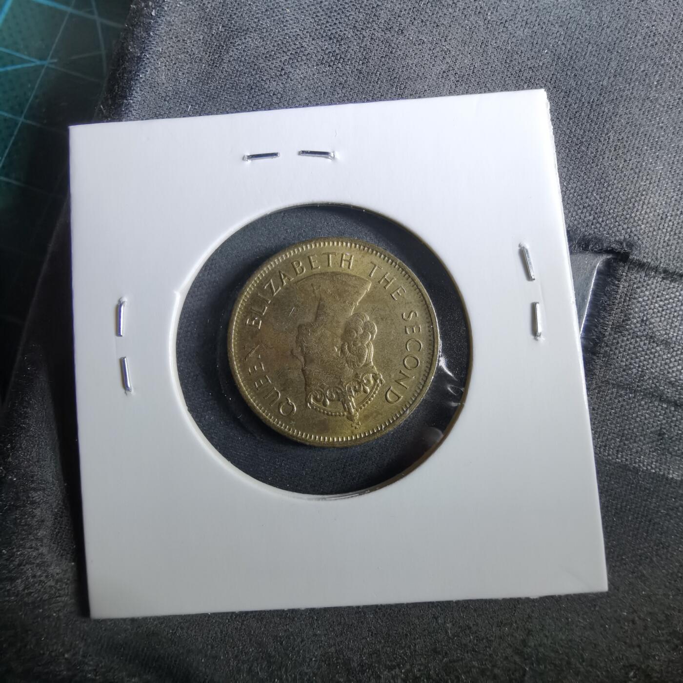 沼泽如烟--第960场