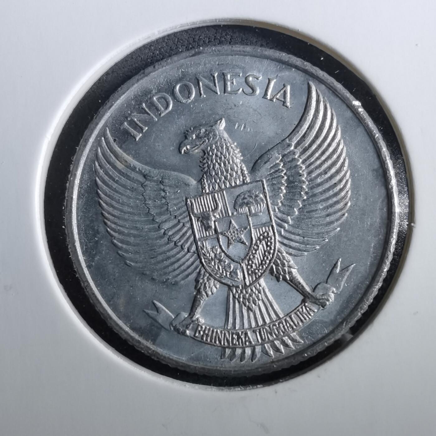 沼泽如烟--第960场