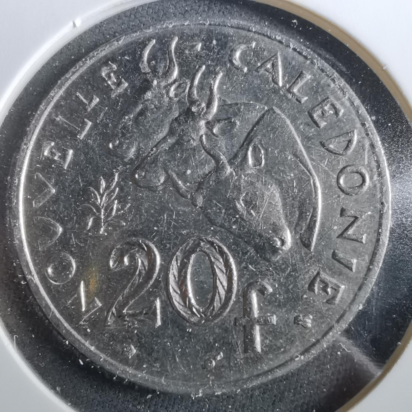 沼泽如烟--第960场