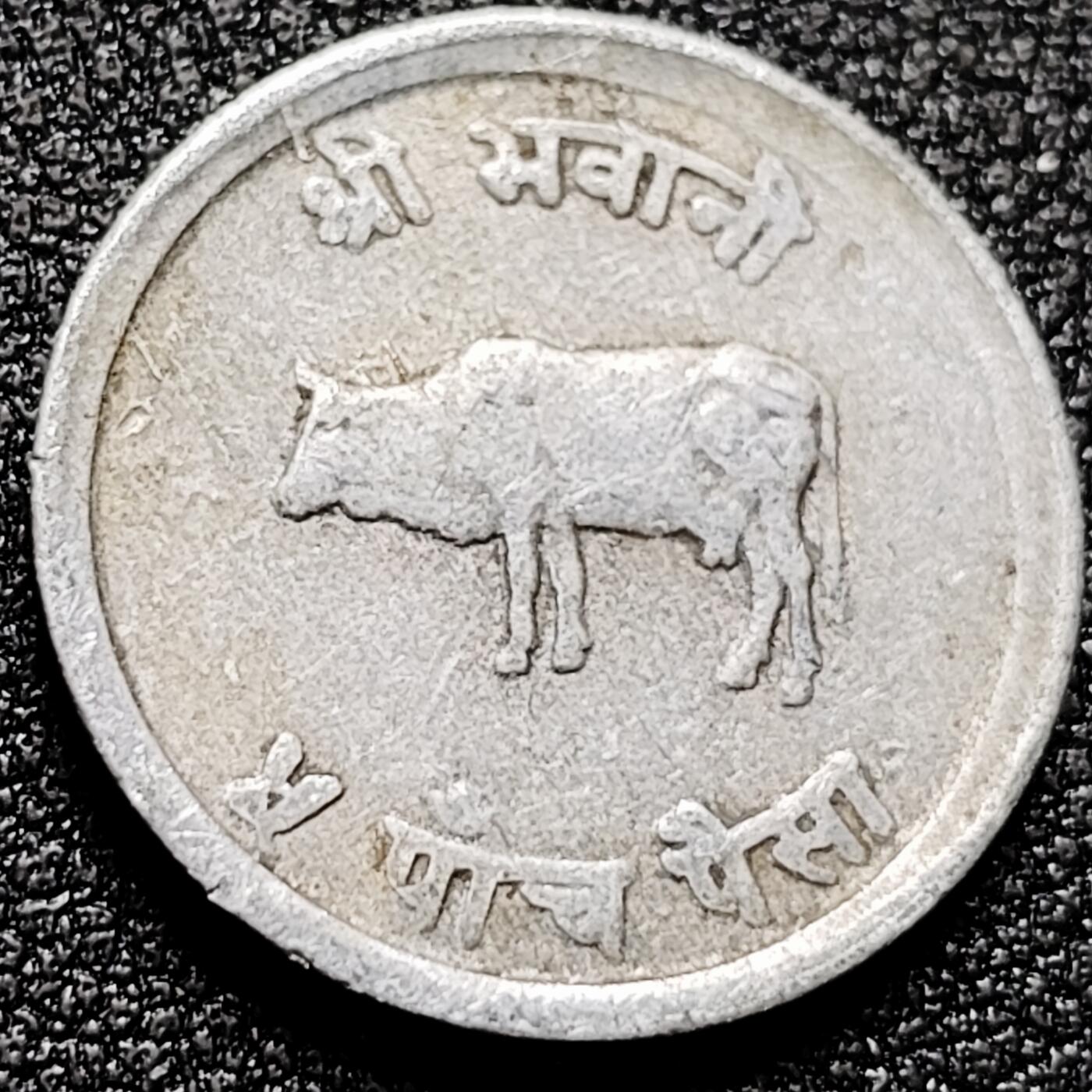 泉币菌-第168场- 精品福利场 。