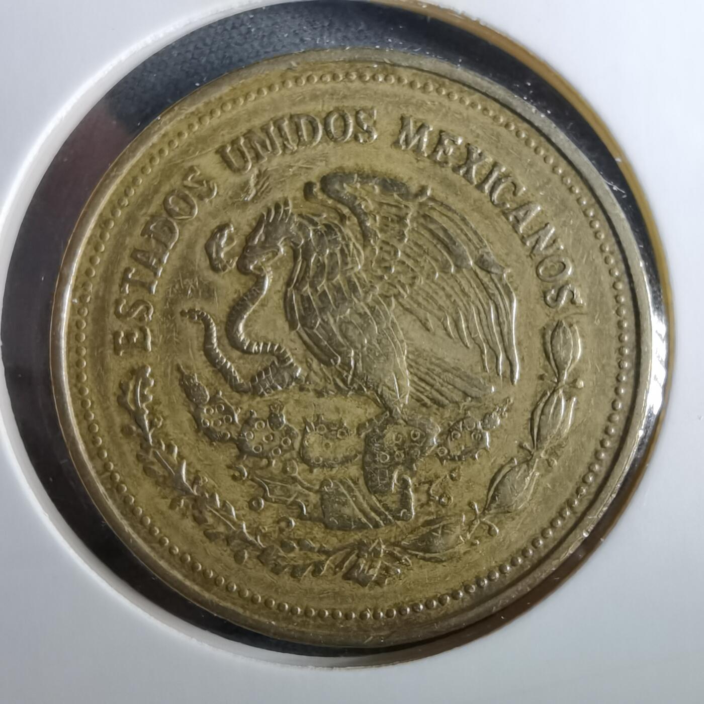 沼泽如烟--第960场