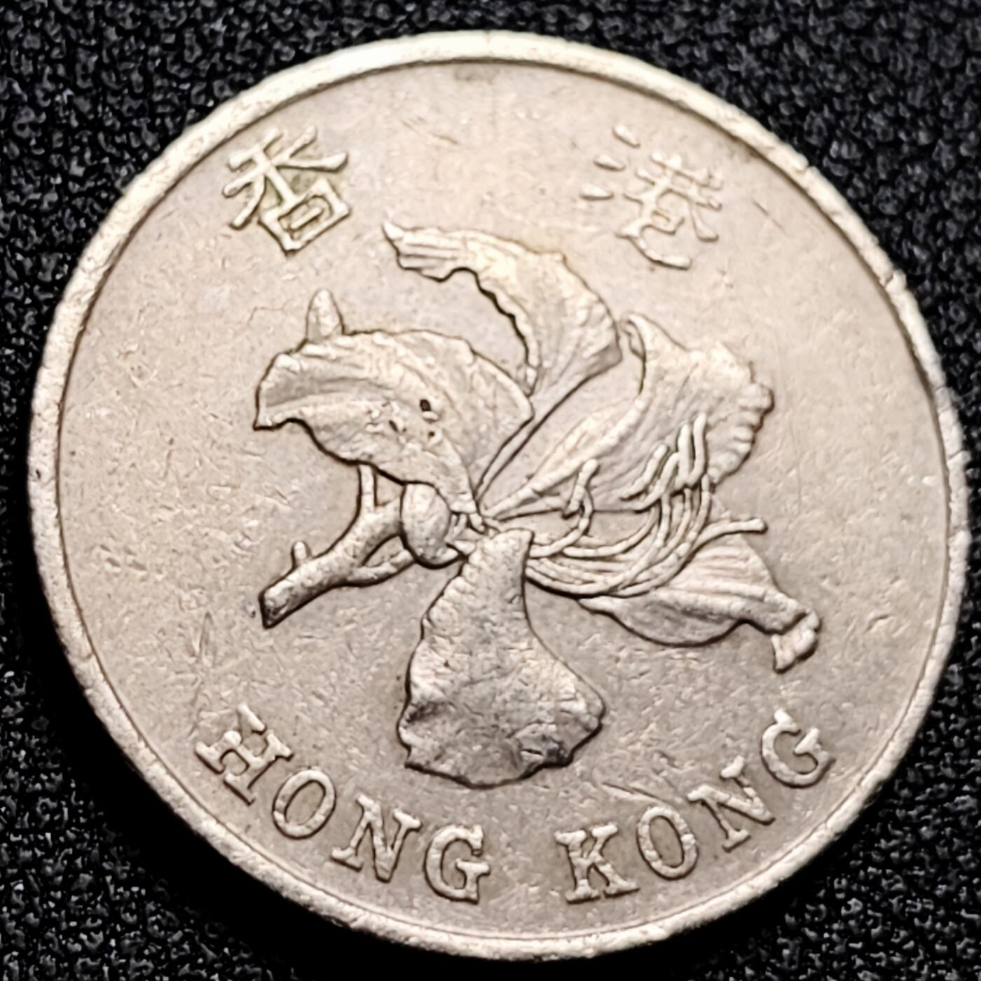 泉币菌-第168场- 精品福利场 。