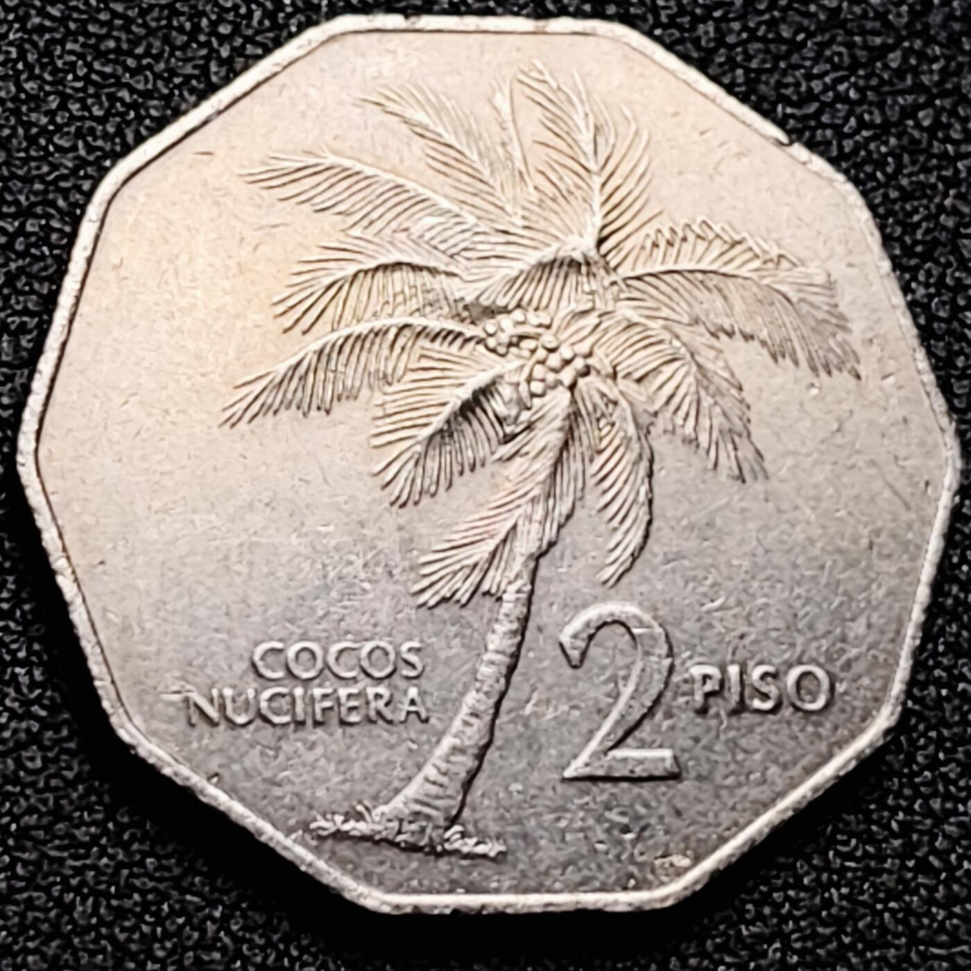 泉币菌-第169场- 精品福利场 。