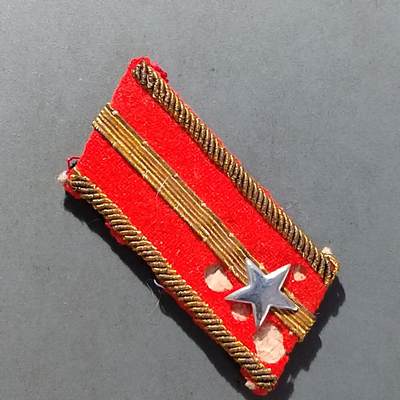 PCAI钱币  14-709  纪念章专场 - 领章一个