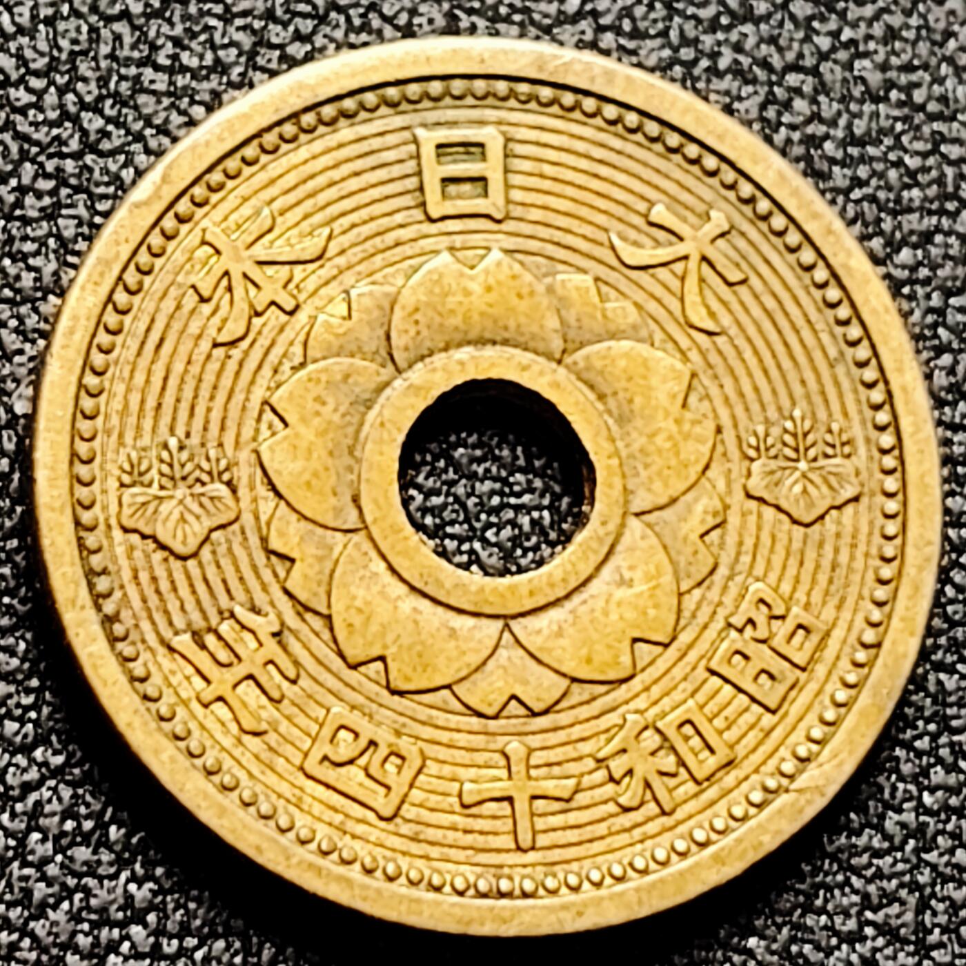 泉币菌-第169场- 精品福利场 。