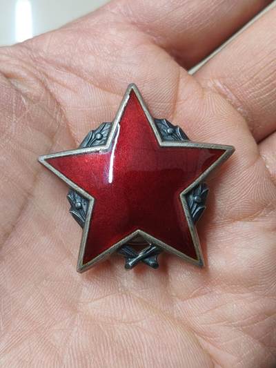 苏联蒙古勋章奖章 - 南斯拉夫游击队二级勋章