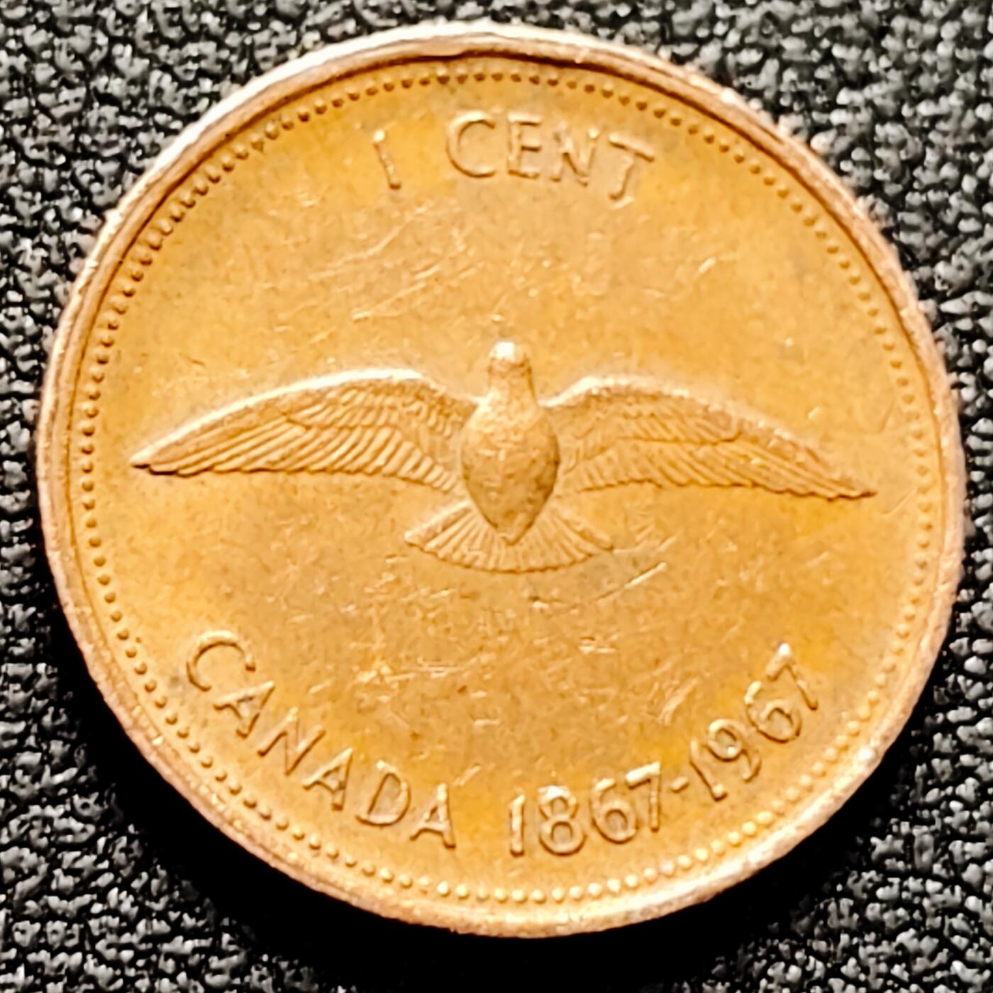 泉币菌-第169场- 精品福利场 。