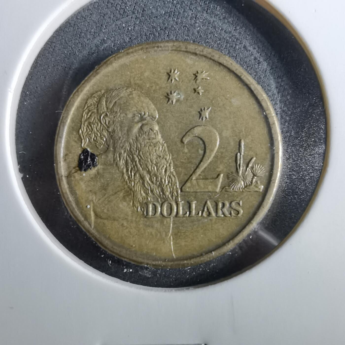 沼泽如烟--第960场