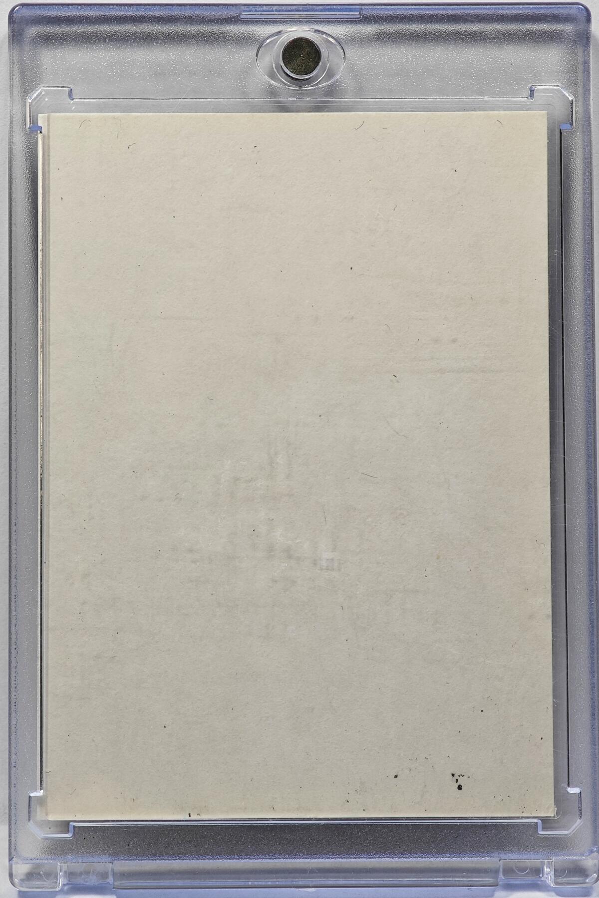 白泽拍卖卡牌手绘专场第31期（岁寒知松柏 春意已可期）