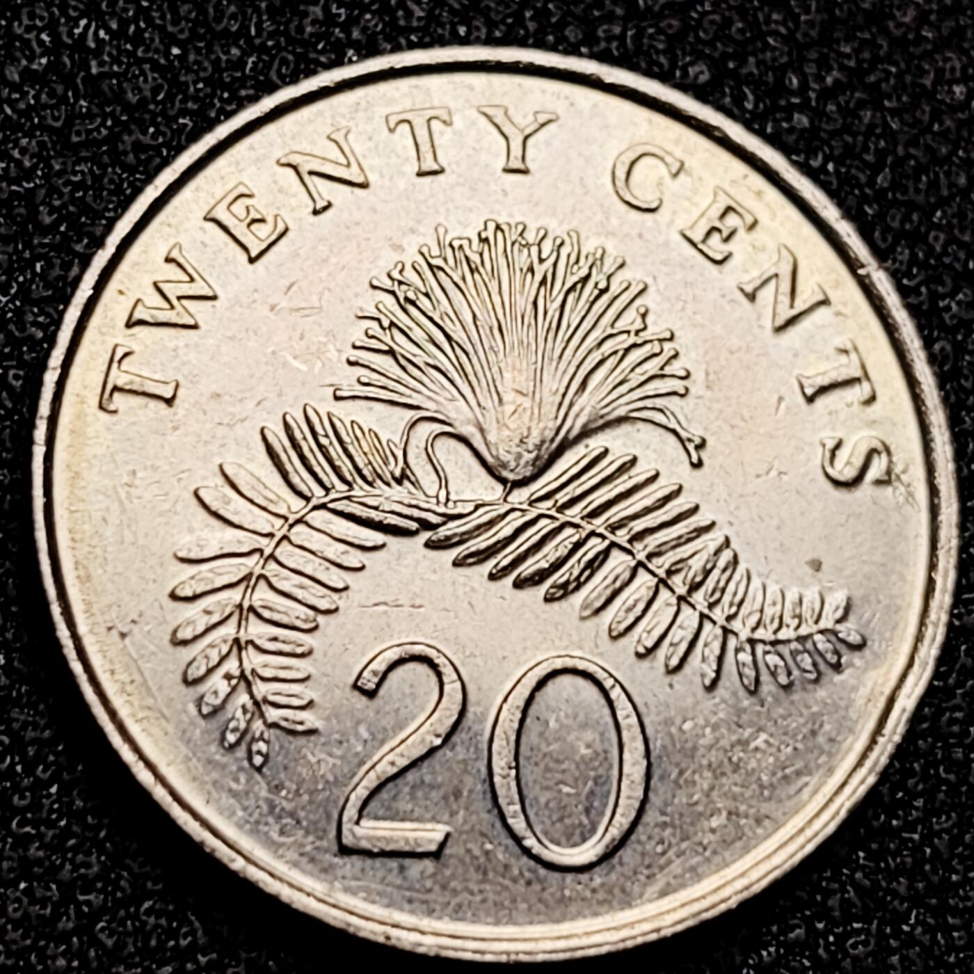 泉币菌-第168场- 精品福利场 。