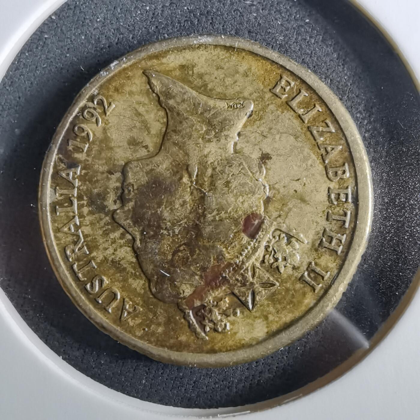 沼泽如烟--第960场